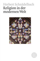 Herbert Schnädelbach - Religion in der modernen Welt
