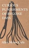 Alice Earle, Alice Morse Earle - Curious Punishments of Bygone Days