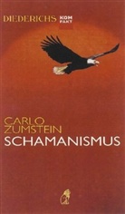 Carlo Zumstein - Schamanismus