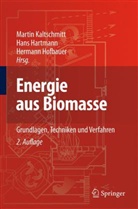 Hartman, Han Hartmann, Hans Hartmann, Hofbauer, Hermann Hofbauer, Kaltschmit... - Energie aus Biomasse