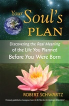 Robert Schwartz - Your Soul's Plan