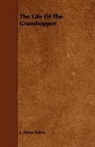 J. Henri Fabre, Jean-Henri Fabre - The Life of the Grasshopper