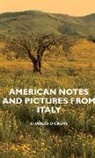 Charles Dickens - American Notes and Pictures From Italy