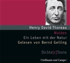 Henry D. Thoreau, Bernd Geiling - Walden, 4 Audio-CDs (Audiolibro)
