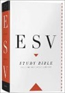 Collins Anglicised ESV Bibles, Tbd - Study Bible: English Standard Version (ESV)