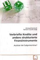 Christop Bernhardt, Christoph Bernhardt, Hermann Locarek-Junge - Verbriefte Kredite und andere strukturierte Finanzinstrumente
