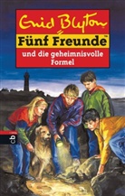 Enid Blyton, Silvia Christoph - Fünf Freunde - Bd. 25: Fünf Freunde und die geheimnisvolle Formel