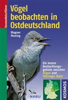 Christoph Moning, Christian Wagner - Vögel beobachten in Ostdeutschland