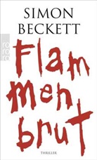 Simon Beckett - Flammenbrut