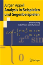 Jürgen Appell - Analysis in Beispielen und Gegenbeispielen