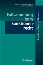 Meie, Bernd-Diete Meier, Bernd-Dieter Meier, Noetzel, Sarah Noetzel - Fallsammlung zum Sanktionenrecht