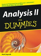 Mark Zegarelli - Analysis II für Dummies, m. CD-ROM