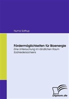 Numa Sattrup - Fördermöglichkeiten für Bioenergie