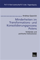 Andrea Gawrich - Minderheiten im Transformations- und Konsolidierungsprozess Polens