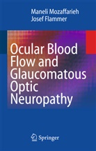 Josef Flammer, Maneli Mozaffarieh - Ocular Blood Flow and Glaucomatous Optic Neuropathy