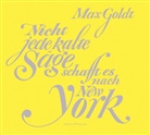 Max Goldt, Max Goldt - Nicht jede kalte Säge schafft es nach New York, 2 Audio-CD (Hörbuch)