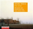 Sándor Márai, Rolf Boysen, Thomas Holtzmann, Doris Schade - Die Glut, 2 Audio-CDs (Jubiläumsausgabe) (Livre audio)