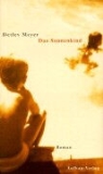 Detlev Meyer - Das Sonnenkind