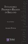 Power, Albert Power - Intangible Property Rights in Ireland