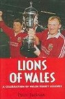 Peter Jackson, Professor Peter Jackson - Lions of Wales
