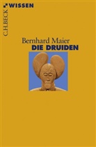 Bernhard Maier - Die Druiden