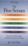Jan De Vries - Five Senses