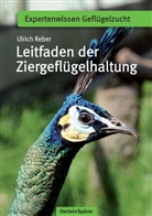 Ulrich Reber - Leitfaden der Ziergeflügelhaltung