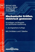 Michael Laible - Mechanische Größen elektrisch gemessen