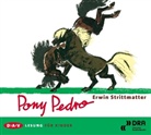 Erwin Strittmatter, Erwin Geschonneck - Pony Pedro, 1 Audio-CD (Audio book)