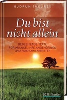 Gudrun Theurer - Du bist nicht allein