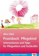 Alice Ebel - Praxisbuch Pflegekind