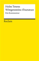 Holm Tetens - Wittgensteins »Tractatus«. Ein Kommentar