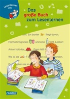 Manuel Mechtel, Manuela Mechtel, Ulrik Pohlmann, Ulrike Pohlmann, Antje Schwenker, Peter Friedl... - LESEMAUS zum Lesenlernen Sammelbände: Das große Buch zum Lesenlernen