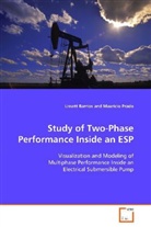Lissett Barrios, Barrios Lissett - Study Of Two-Phase Performance Inside An ESP
