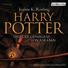 J. K. Rowling, Joanne K Rowling, Felix von Manteuffel, Felix von Manteuffel - Harry Potter, Ausgabe für Erwachsene, Audio-CDs - Tl.3: Harry Potter und der Gefangene von Askaban, 11 Audio-CDs (Ausgabe für Erwachsene) (Audio book)
