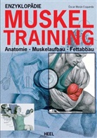 Oscar Moran Esqerdo, Moran Esquerdo, Oscar Moran Esquerdo, Oscar Morán Esquerdo, Isabel Arechabala - Enzyklopädie Muskeltraining