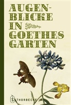 Johann Wolfgang von Goethe - Augenblicke in Goethes Garten