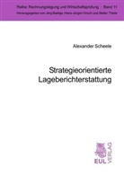 Alexander Scheele - Strategieorientierte Lageberichterstattung