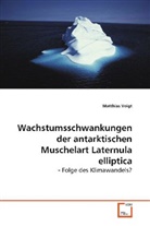 Matthias Voigt - Wachstumsschwankungen der antarktischen Muschelart Laternula elliptica
