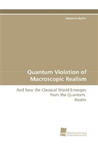 Johannes Kofler - Quantum Violation of Macroscopic Realism