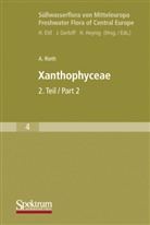 Alfred Rieth - Süßwasserflora von Mitteleuropa - 4: Xanthophyceae. Tl.2