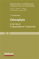 Joanna Kadlubowska, Joanna Z. Kadlubowska - Süßwasserflora von Mitteleuropa - 16: Süßwasserflora von Mitteleuropa, Bd. 16: Chlorophyta VIII. Tl.8