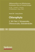 Hanu Ettl, Hanus Ettl, Georg Gärtner - Süßwasserflora von Mitteleuropa - 10: Chlorophyta. Tl.2
