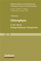 Teresa Mrozinska - Süßwasserflora von Mitteleuropa - 14: Süßwasserflora von Mitteleuropa, Bd. 14: Chlorophyta VI. Tl.6