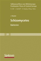 Jiri Häusler - Süßwasserflora von Mitteleuropa - 20: Süßwasserflora von Mitteleuropa, Bd. 20: Schizomycetes