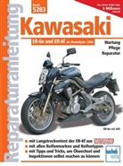 Franz Jose Schermer, Franz Josef Schermer, Helmu Städele, Helmut Städele, Hel Strauss, Steven Flier... - Kawasaki ER-6n