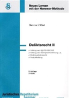 Karl E. Hemmer, Achim Wüst - Deliktsrecht. Tl.2