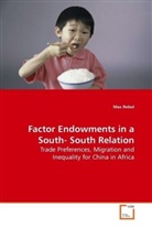 Max Rebol - Factor Endowments in a South- South Relation