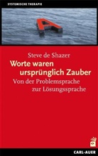 Steve de Shazer, Steve DeShazer, Steve de Shazer - Worte waren ursprünglich Zauber