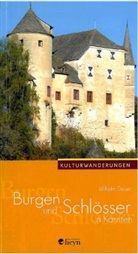 Wihelm Deuer, Wilhelm Deuer, Wilhelm (Dr.) Deuer - Burgen und Schlösser in Kärnten